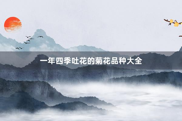 一年四季吐花的菊花品种大全