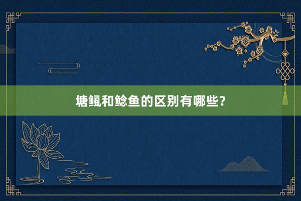 塘鲺和鲶鱼的区别有哪些？