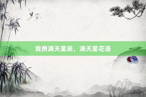 我携满天星辰，满天星花语