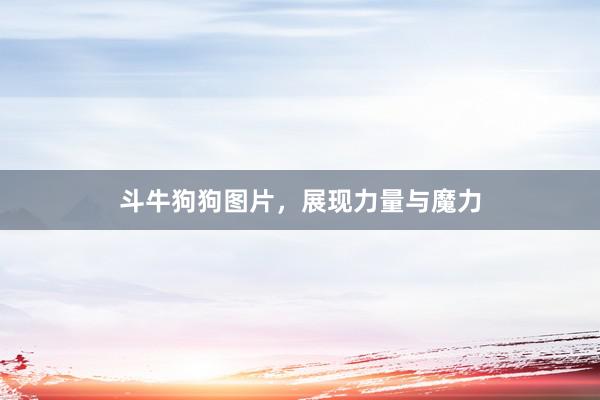 斗牛狗狗图片，展现力量与魔力