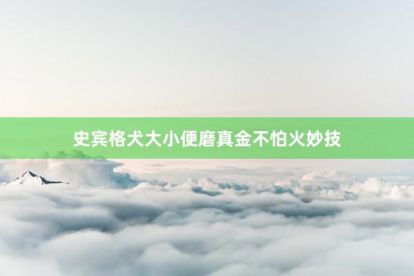 史宾格犬大小便磨真金不怕火妙技