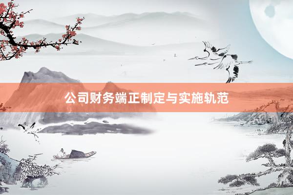 公司财务端正制定与实施轨范