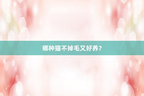 哪种猫不掉毛又好养？