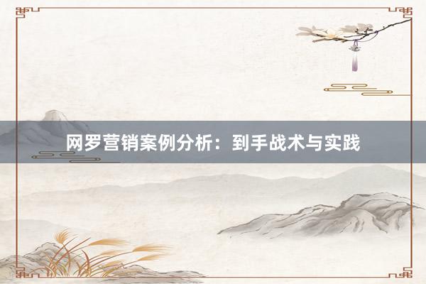 网罗营销案例分析：到手战术与实践